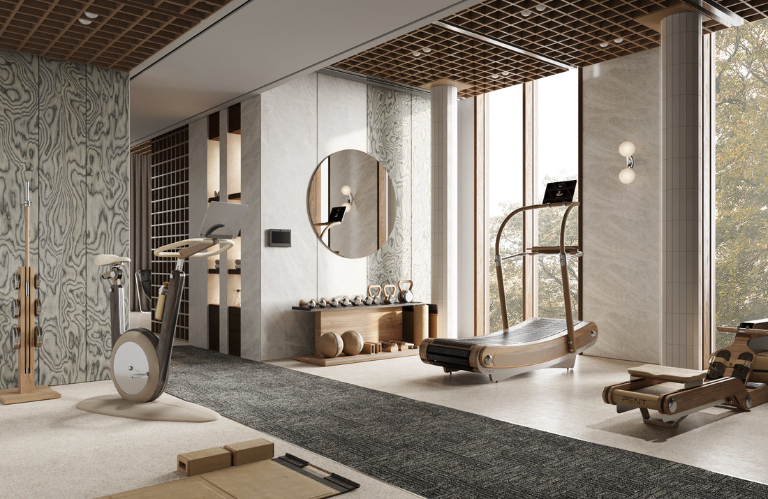 HANIA™ by PENT. Premium Luxury Stationary Bike for Home, Hotel Fitness