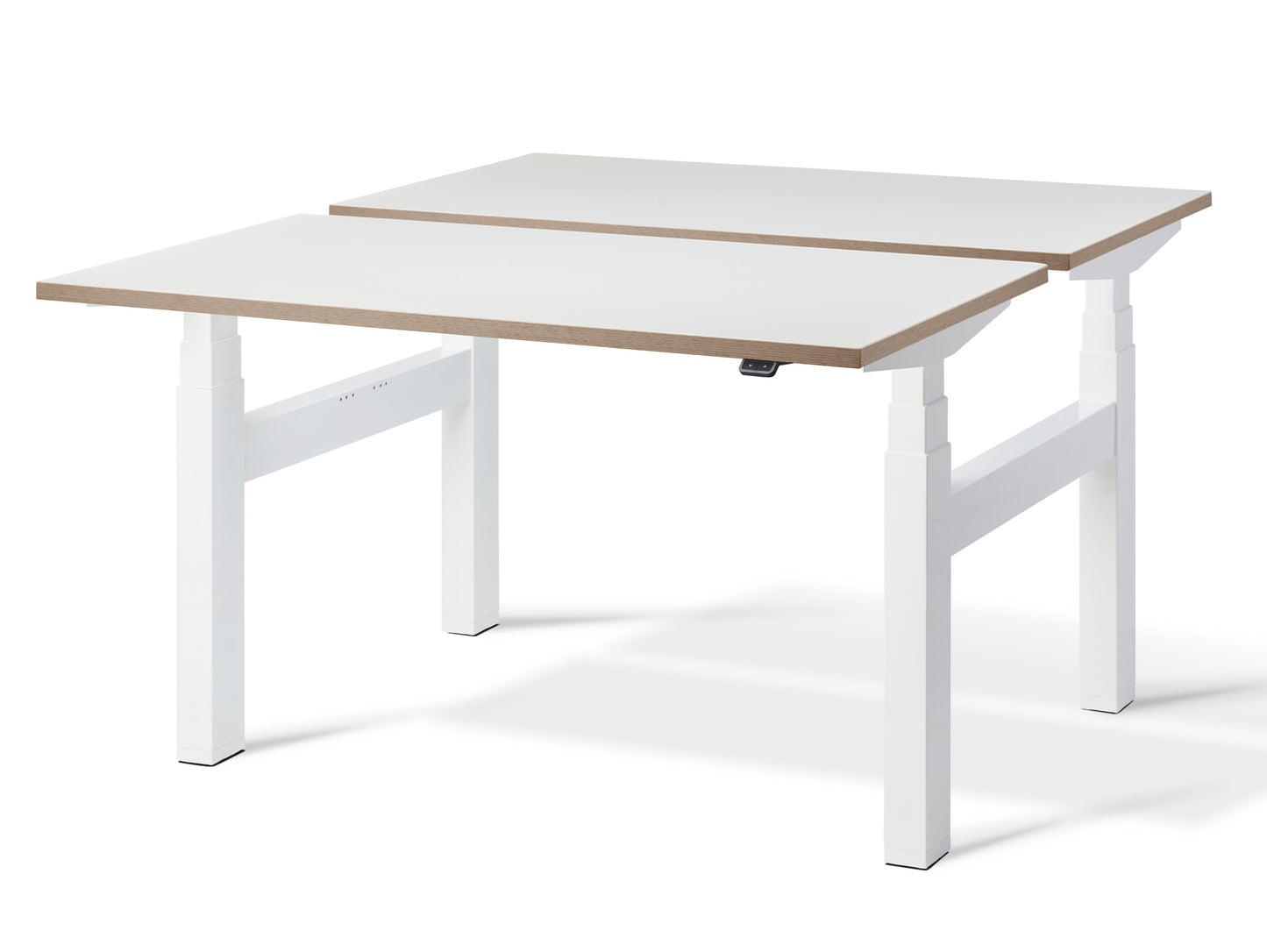 Duo Electric Height Adjustable Back to Back Dual Motor Standing Desk