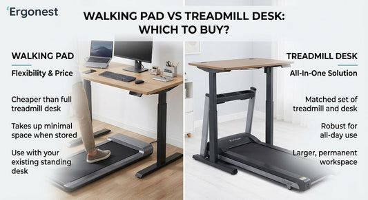Walking Pad vs Treadmill Desk