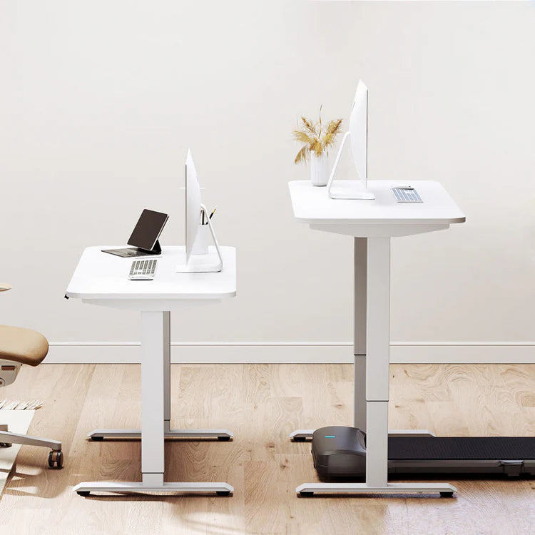 King Smith Fitness Standing Desk