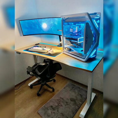 ErgoHide Oak Standing Desk