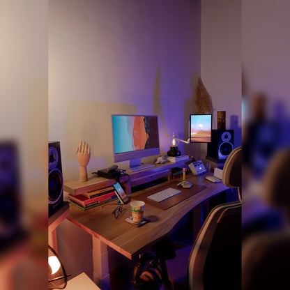 ErgoHide Standing Desk – Classic