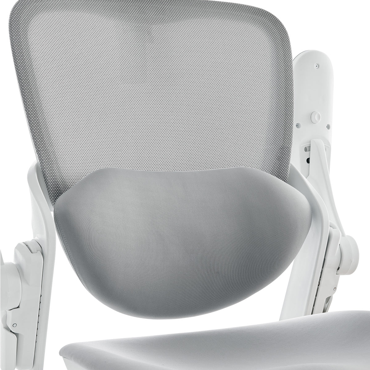 Musso E80 Muse Femme Ergonomic Chair