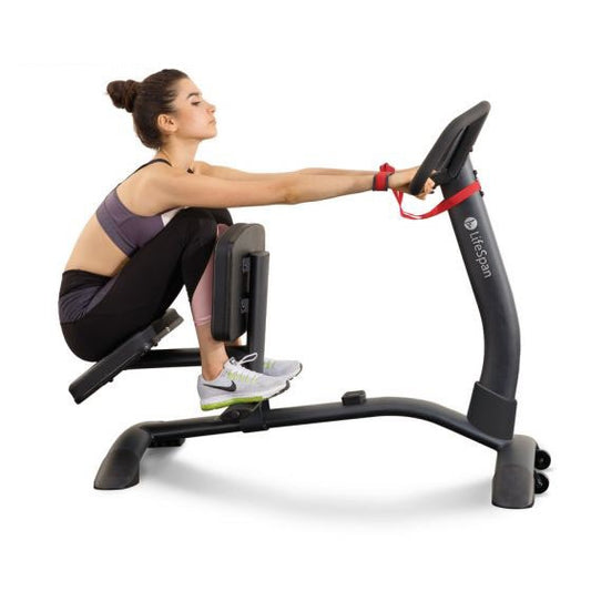 LifeSpan Fitness Pro Stretchmaster SP1000 Exercise Bench LifeSpan