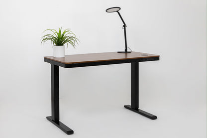 Ergonest E-Max Electric Standing Desk – Walnut Wood Top