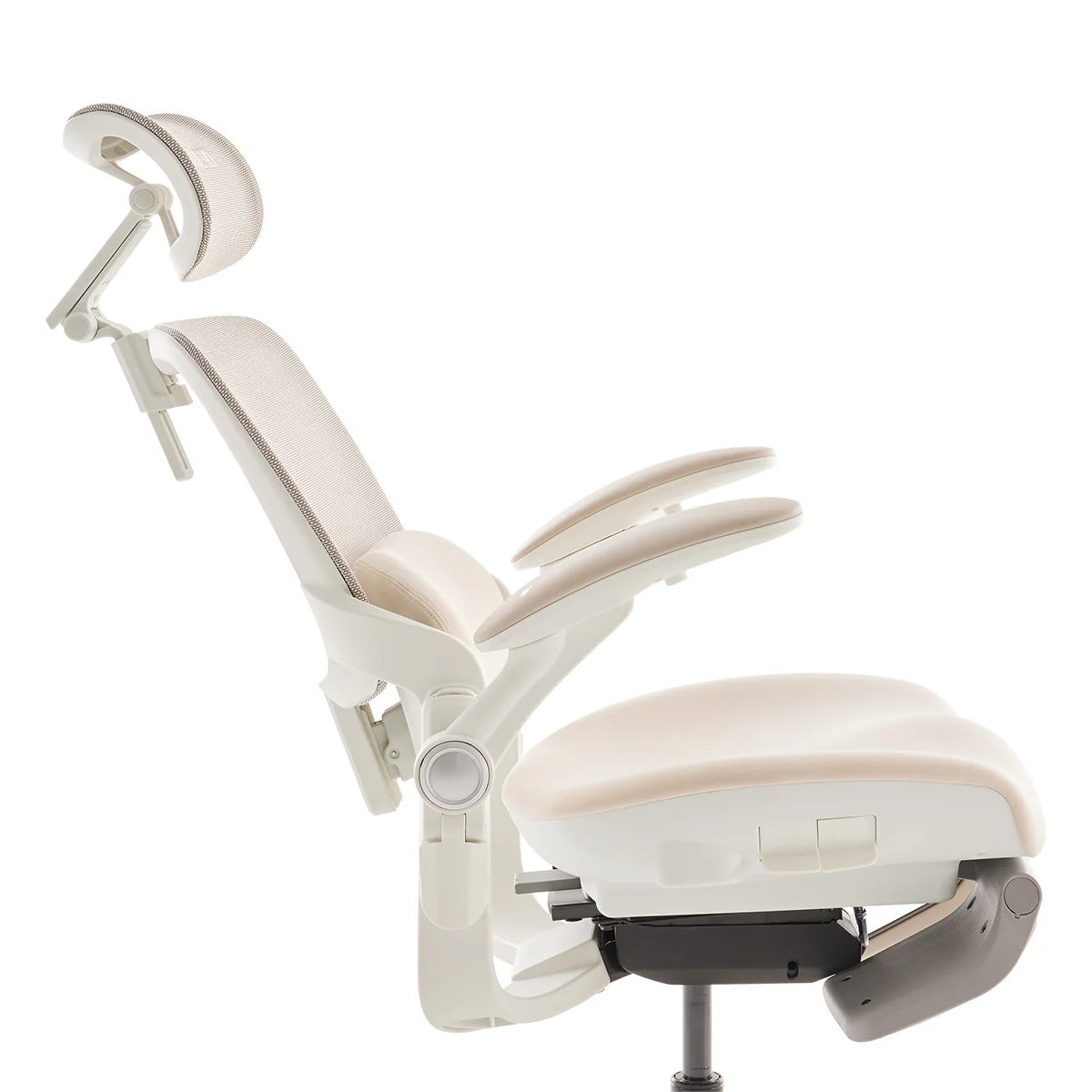 Musso E80 Muse Femme Ergonomic Chair