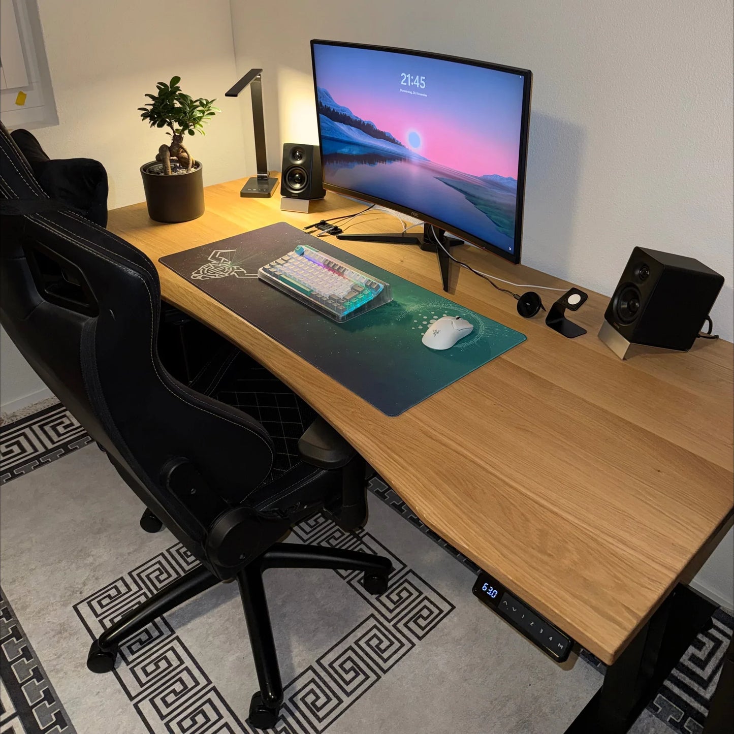 ErgoHide Oak Standing Desk