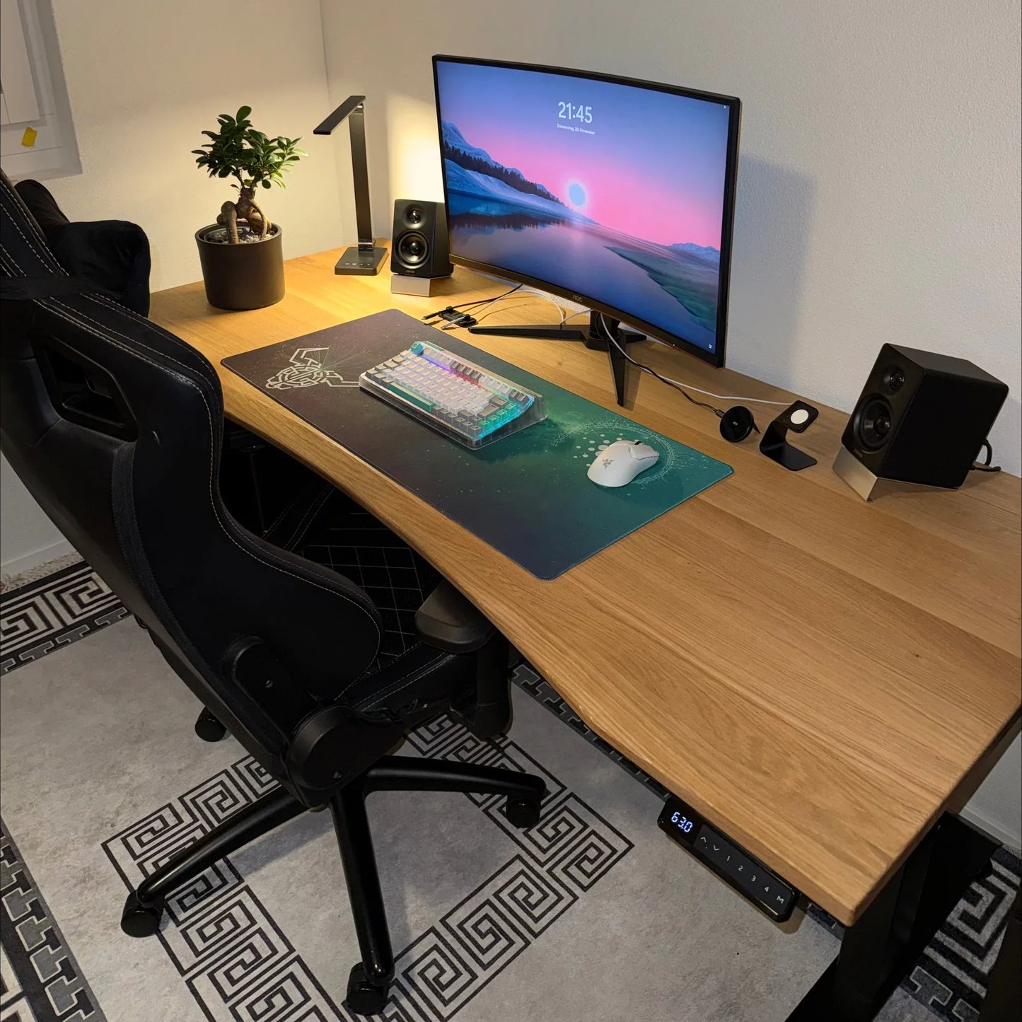 ErgoHide Standing Desk – Classic