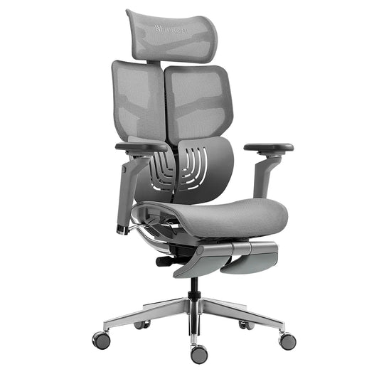 HINOMI X1 Ergonomic Chair: Robust Design, Supreme Comfort HINOMI Grey S