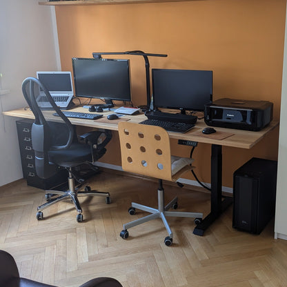 ErgoHide oak desk customer workspace