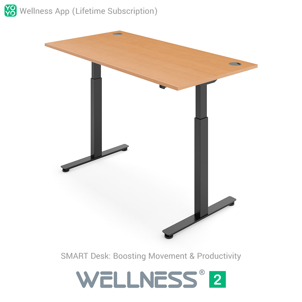 WELLNESS 2 Smart Dual-Motor Standing Desk