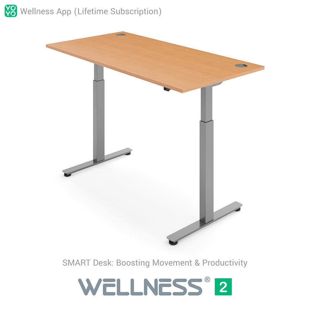 WELLNESS 2 Smart Dual-Motor Standing Desk