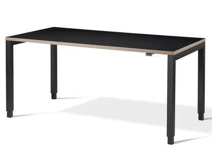 Aspa Executive Designer Standing Desk(With Bluetooth Control) Standing Desk FRISKA