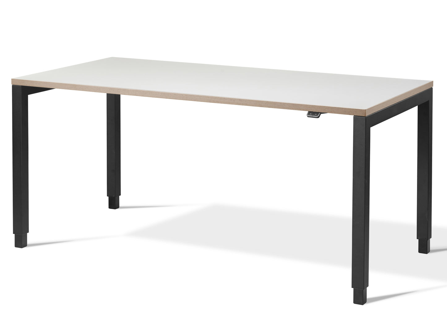 Aspa Executive Designer Standing Desk(With Bluetooth Control)