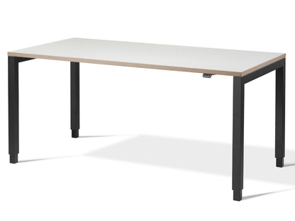 Aspa Executive Designer Standing Desk(With Bluetooth Control)