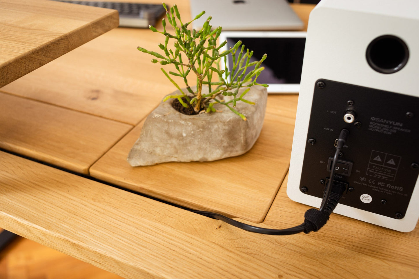 ErgoHide Standing Desk – With Extended Cable Space