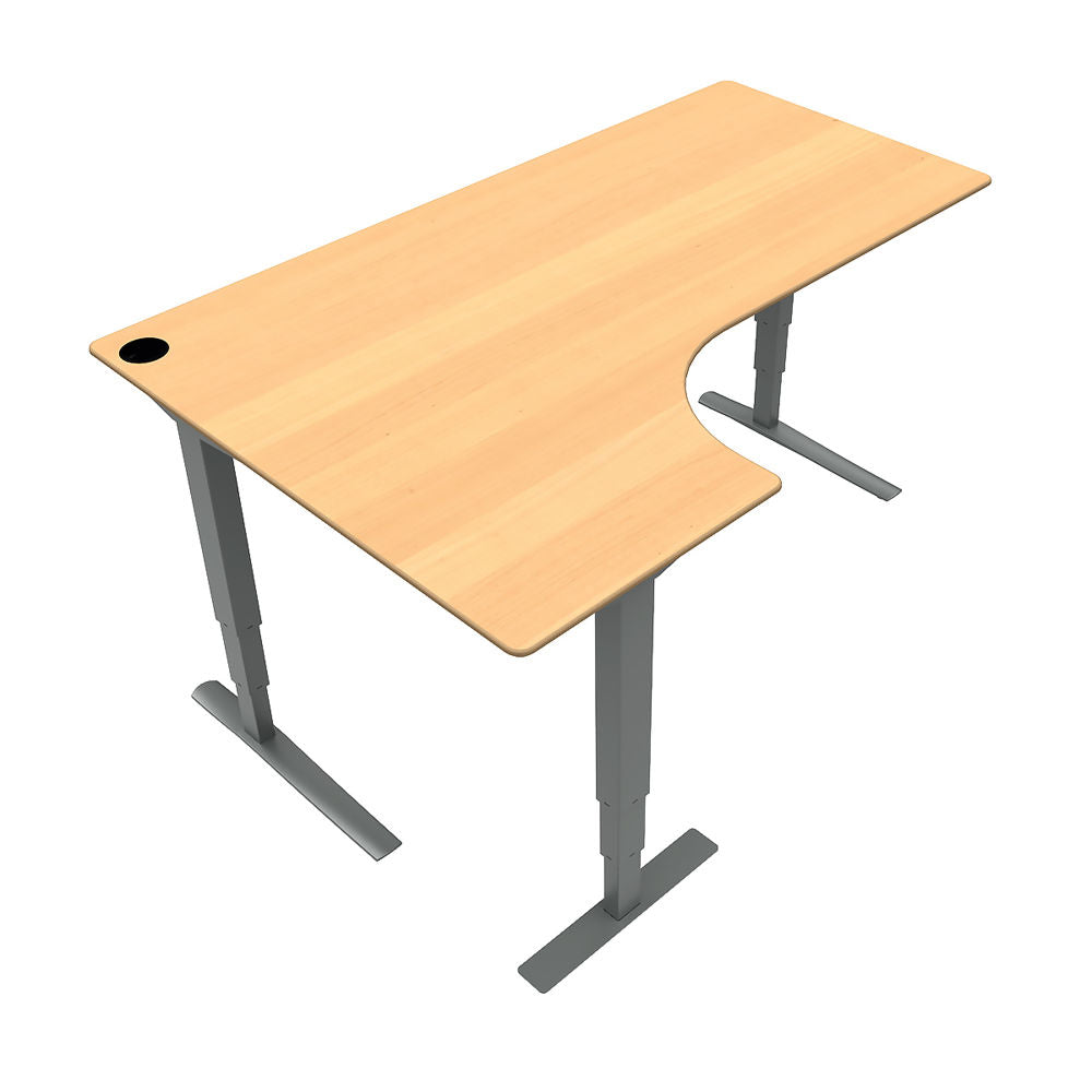 Freedom Height adjustable Dual Motor Standing Desk