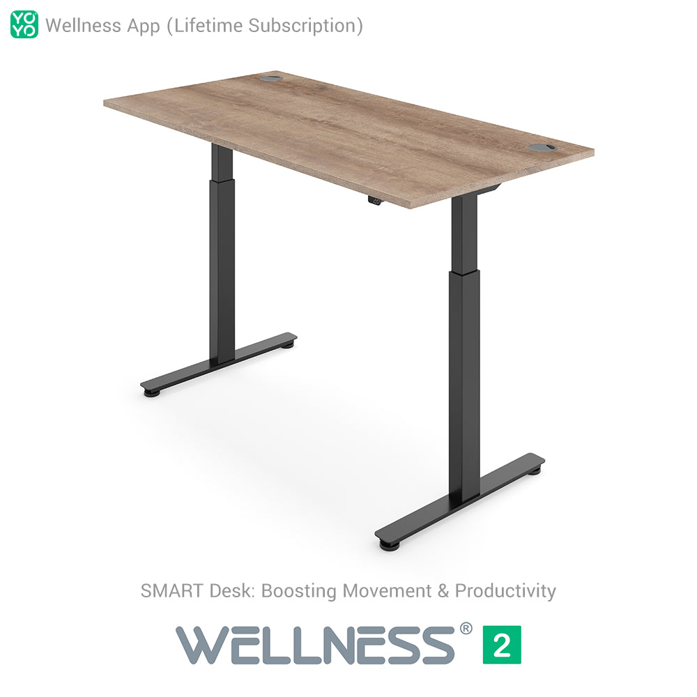 WELLNESS 2 Smart Dual-Motor Standing Desk