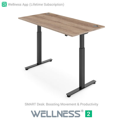 WELLNESS 2 Smart Dual-Motor Standing Desk