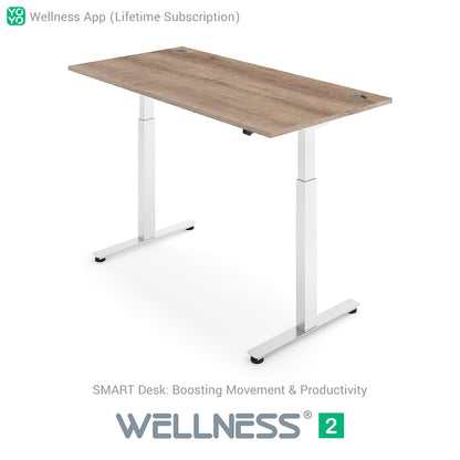 WELLNESS 2 Smart Dual-Motor Standing Desk