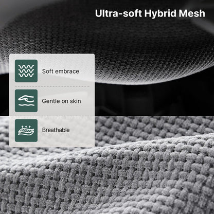 HINOMI H2 Pro Ergonomic Office Chair