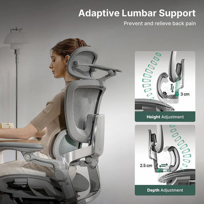 HINOMI H2 Pro Ergonomic Office Chair