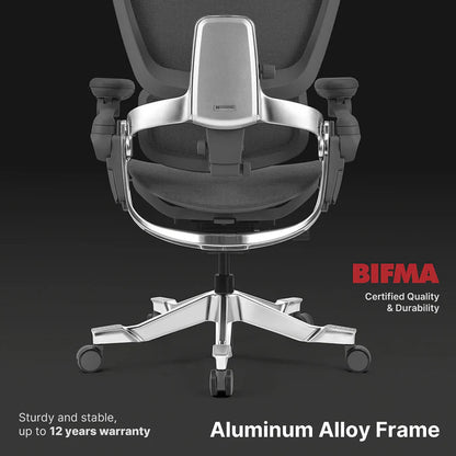 HINOMI H2 Pro Ergonomic Office Chair
