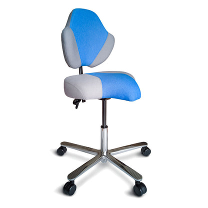 Halo Chair Pro Back Care Solutions