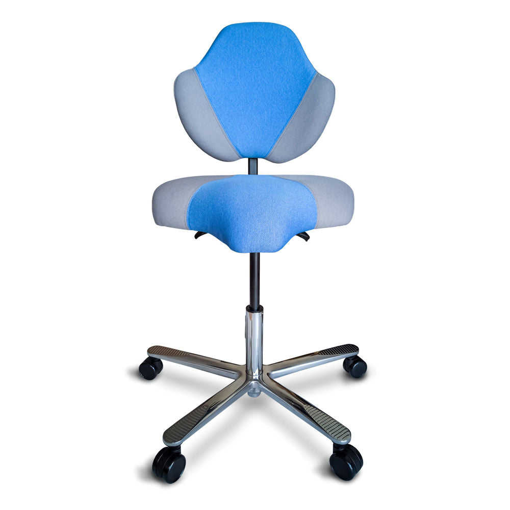 Halo Chair Pro Back Care Solutions