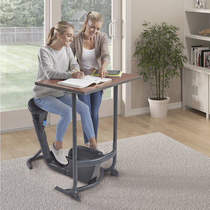 LifeSpan Unity Under Desk Bike