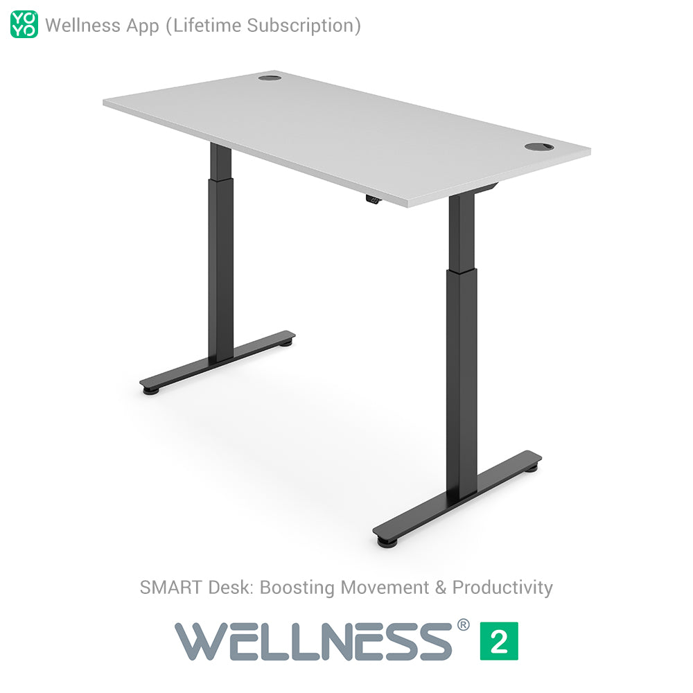 WELLNESS 2 Smart Dual-Motor Standing Desk
