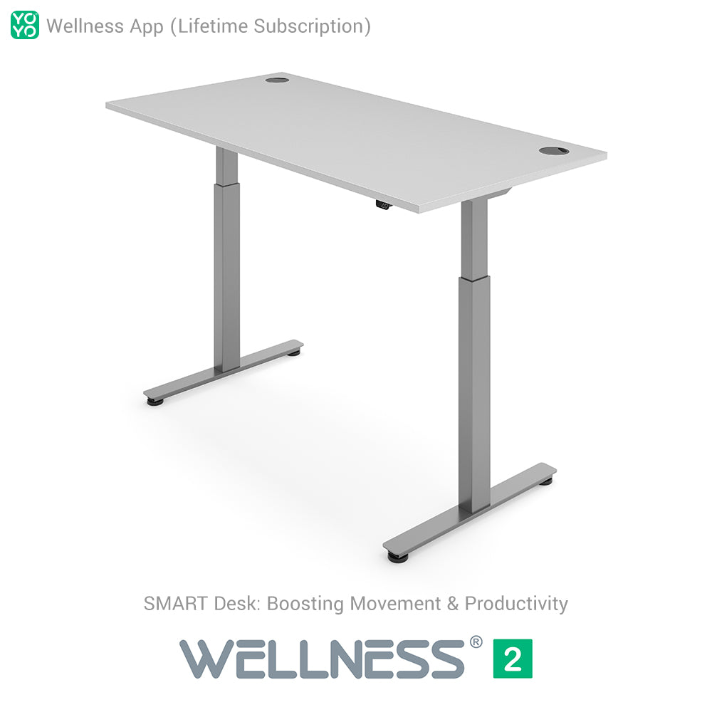 WELLNESS 2 Smart Dual-Motor Standing Desk