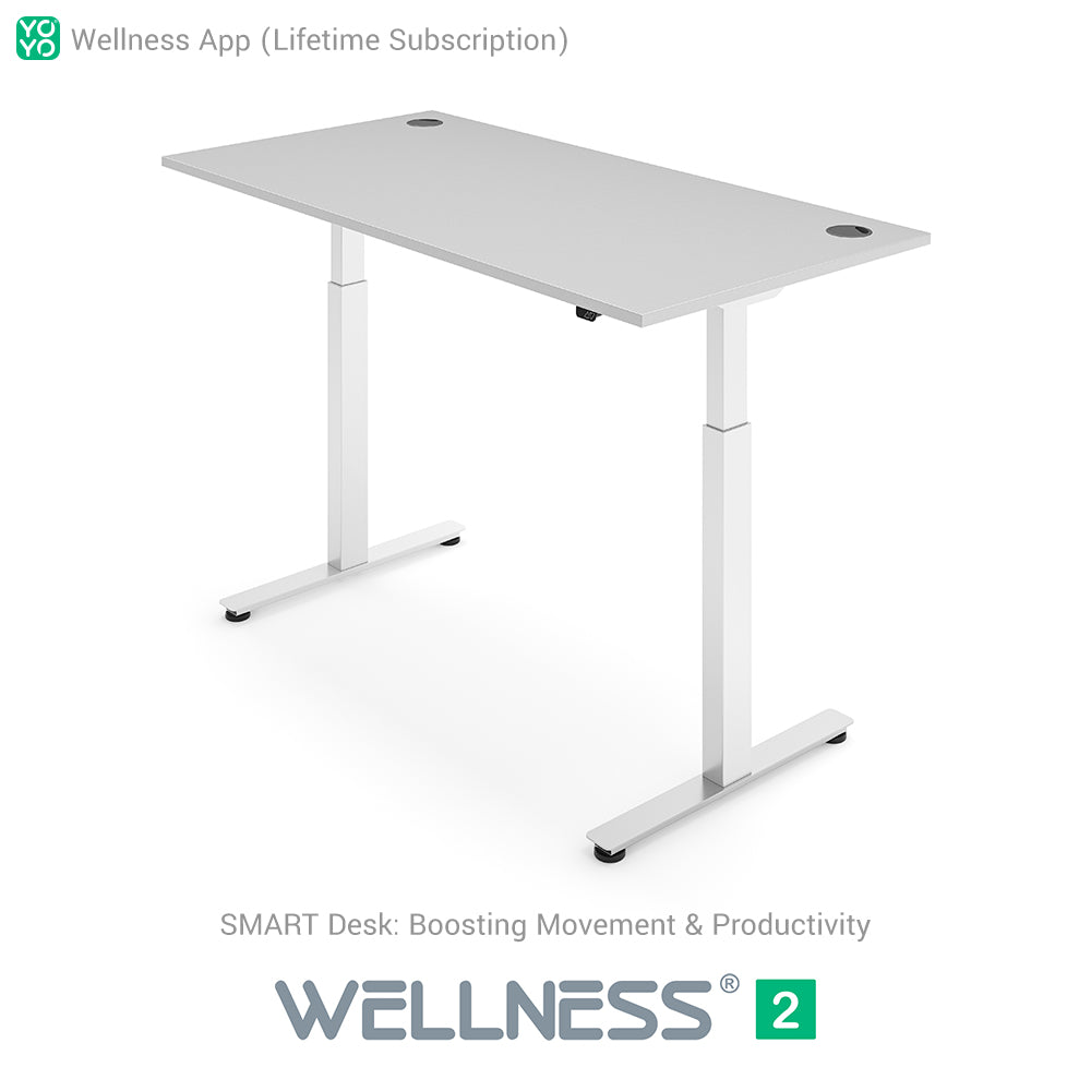 WELLNESS 2 Smart Dual-Motor Standing Desk