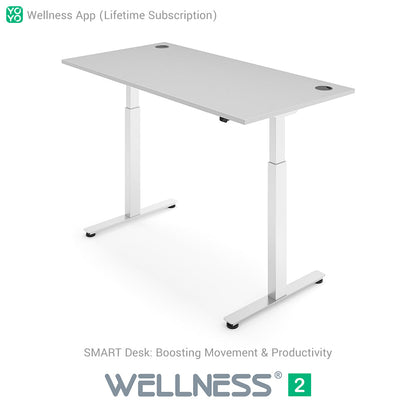 WELLNESS 2 Smart Dual-Motor Standing Desk