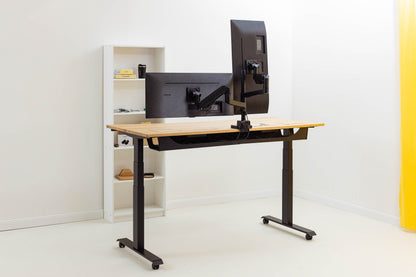 ErgoHide Dual Monitor Arm workspace