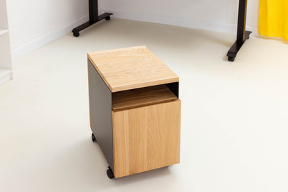 ErgoHide Mobile Cabinet workspace