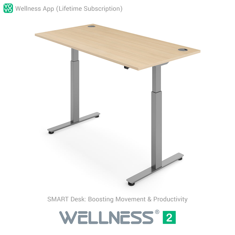WELLNESS 2 Smart Dual-Motor Standing Desk