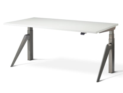 Primo Designer Standing Desk(With Bluetooth Control) Standing Desk FRISKA