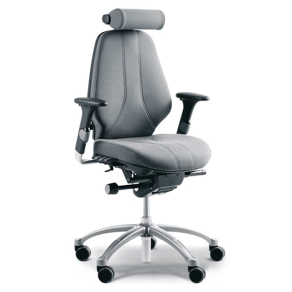 RH Logic 300 Ergonomic Office Chair Office Chair RH