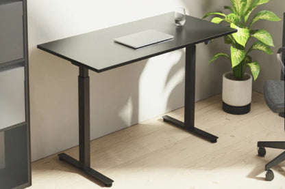 Exec 2 standing desk