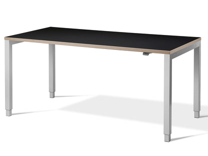 Aspa Executive Designer Standing Desk(With Bluetooth Control)