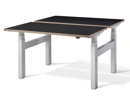 Duo Height Adjustable Double Desk(With Bluetooth Control)