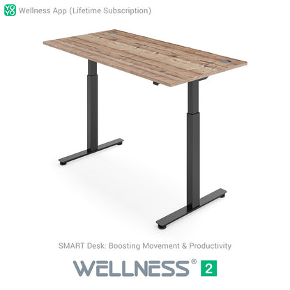WELLNESS 2 Smart Dual-Motor Standing Desk
