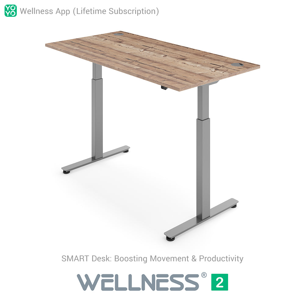 WELLNESS 2 Smart Dual-Motor Standing Desk