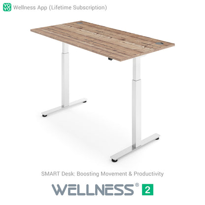 WELLNESS 2 Smart Dual-Motor Standing Desk