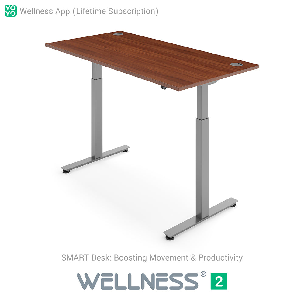 WELLNESS 2 Smart Dual-Motor Standing Desk