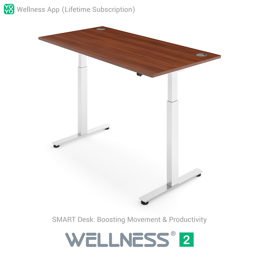 WELLNESS 2 Smart Dual-Motor Standing Desk