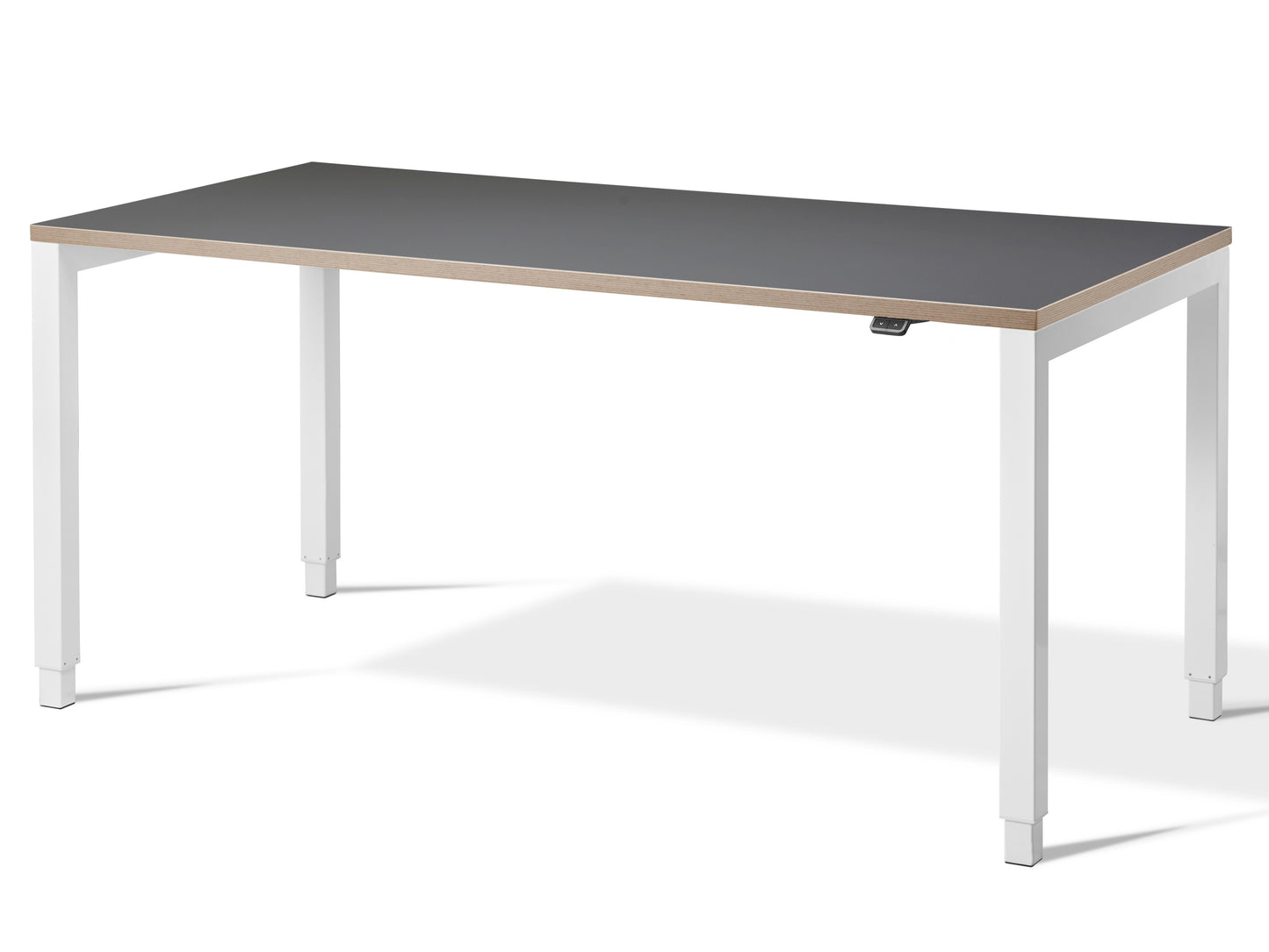 Aspa Executive Designer Standing Desk(With Bluetooth Control)