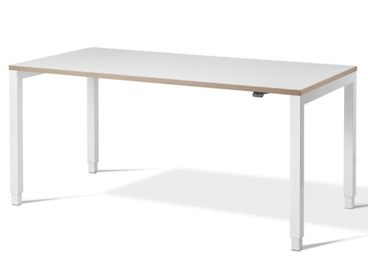 Aspa Executive Designer Standing Desk(With Bluetooth Control) Standing Desk FRISKA