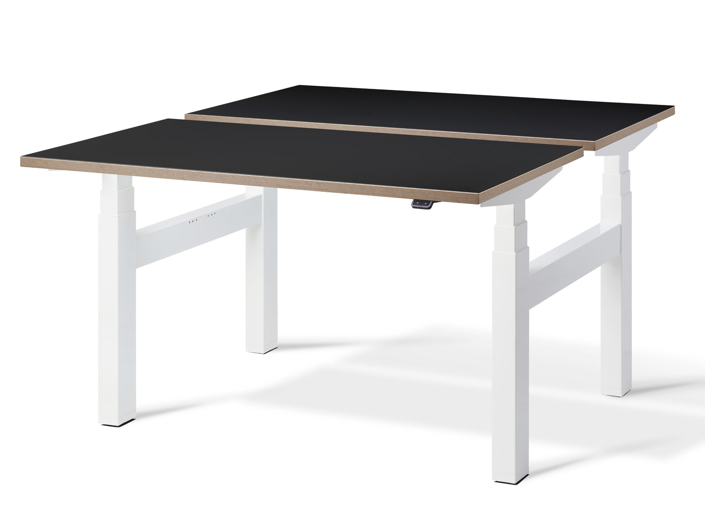 Duo Height Adjustable Double Desk(With Bluetooth Control)